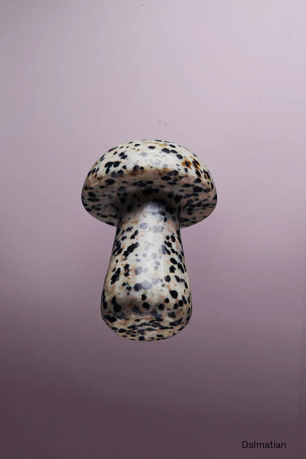 Gua Shroom L Dalmatian