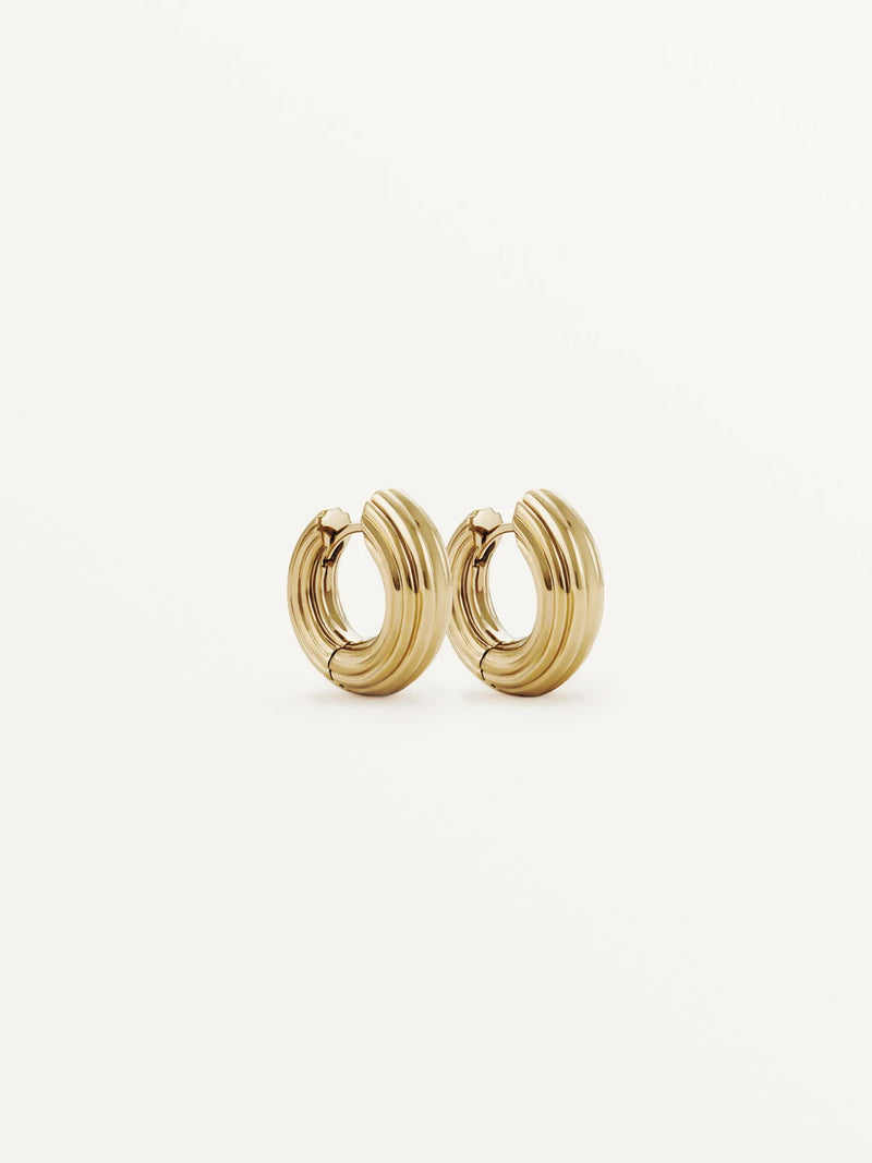 Non Conformist Hoops Earrings